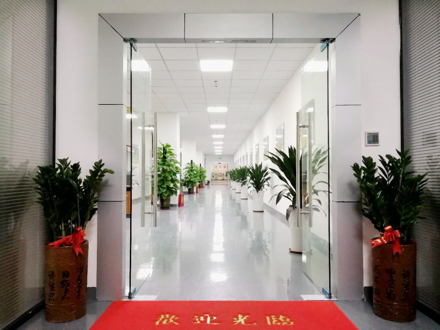蘑菇TV官方网页版永久版科 蘑菇TV官方网页版永久版科